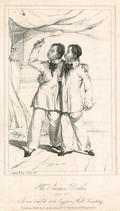 I Giovani Siamesi (di 18 anni), una nuova esposizione alla Egyptian Hall, Piccadilly da English School