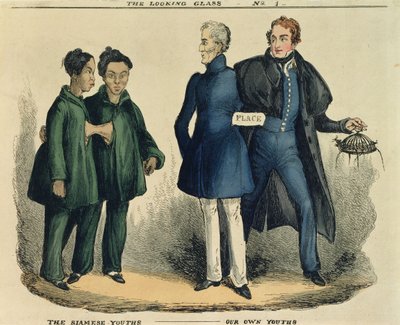 I Giovani Siamesi - I Nostri Giovani, cartone satirico da The Looking Glass, c.1829 (incisione colorata) da English School
