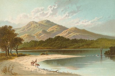 La Spiaggia d