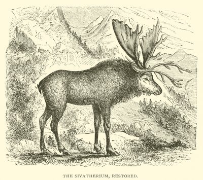 Il Sivatherium, restaurato da English School