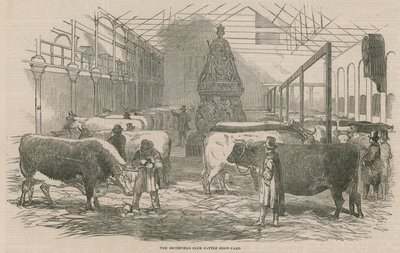 Il cortile della mostra di bestiame del Smithfield Club da English School