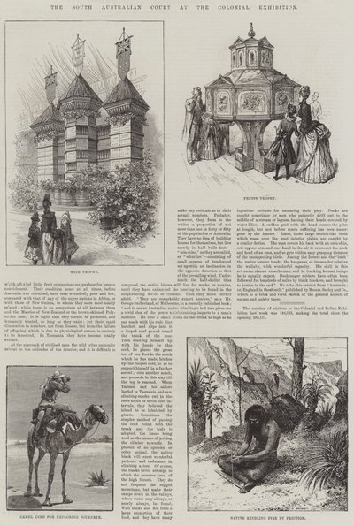 Il tribunale del Sud Australia all