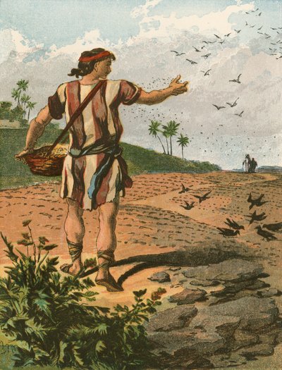 Il seminatore da English School