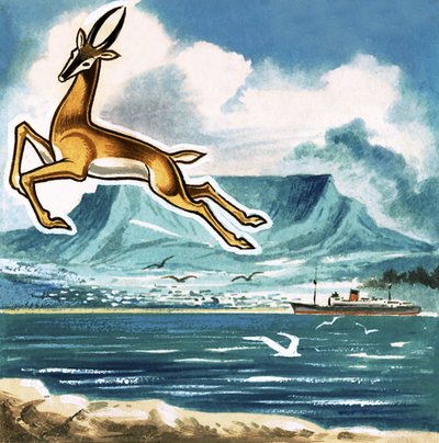 Il Springbok, emblema del Sudafrica da English School