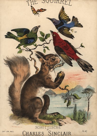 Lo scoiattolo, Schottische di Charles Sinclair, copertina di spartito (litografia a colori) da English School