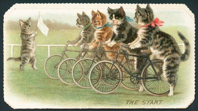 La Partenza, Gara di Gatti in Bicicletta, Cartolina di Natale da English School