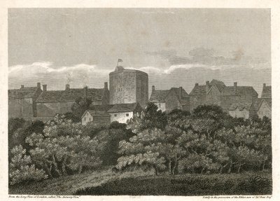 Il Teatro del Cigno a Bankside come appariva nel 1614 da English School