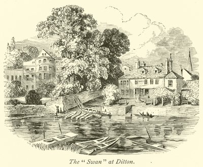 Il Cigno a Ditton da English School