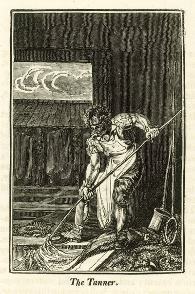 Conciatore (incisione) da English School