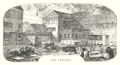 Il Tanyard (incisione) da English School