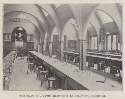 Il laboratorio di istologia Thompson-Yates, Liverpool (incisione) da English School