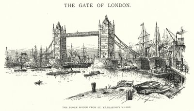Il Tower Bridge dal molo di St Katharine da English School
