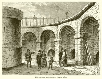La menagerie della Torre intorno al 1820 da English School