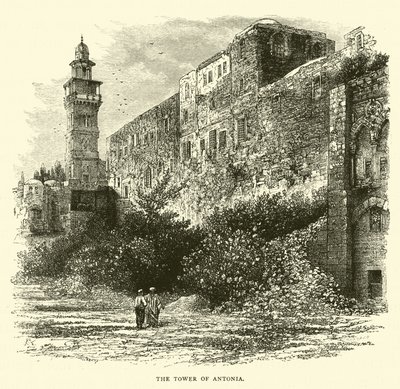 La Torre di Antonia da English School
