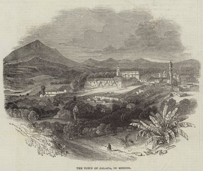 La città di Jalapa, in Messico (incisione) da English School