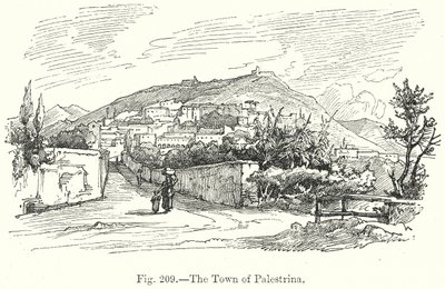 La città di Palestrina (incisione) da English School