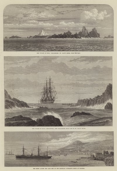 Il viaggio della HMS Challenger, le rocce di San Paolo, da est da English School