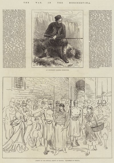 La Guerra in Erzegovina da English School