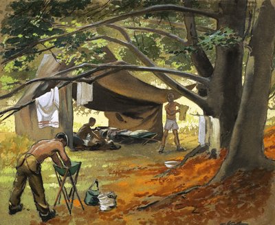 La meraviglia dell