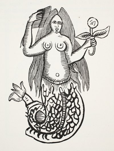 La Meraviglia delle Meraviglie, illustrazione da Chap-books of the Eighteenth Century di John Ashton, pub. 1882 da English School
