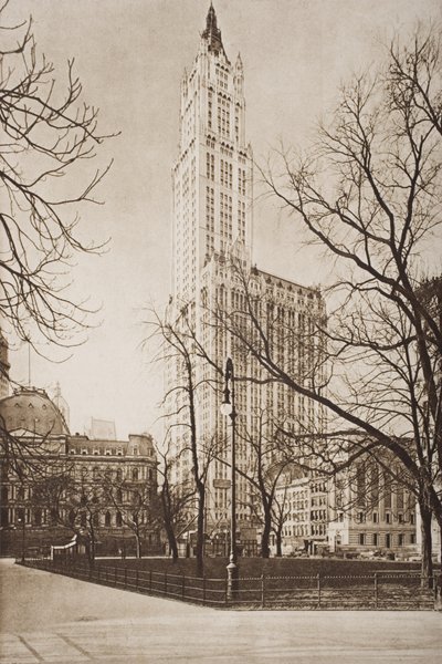 Il Woolworth Building, New York, illustrazione da 