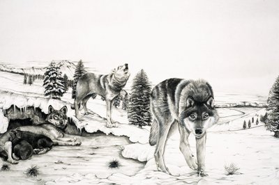 Il mondo della natura: Il 