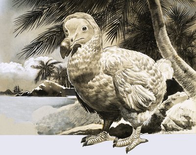 Il Mondo della Natura: L