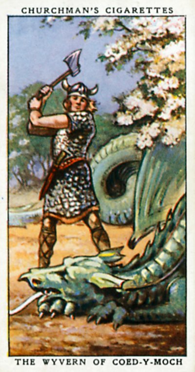 Il Wyvern di Coed-Y-Moch (litografia a colori) da English School