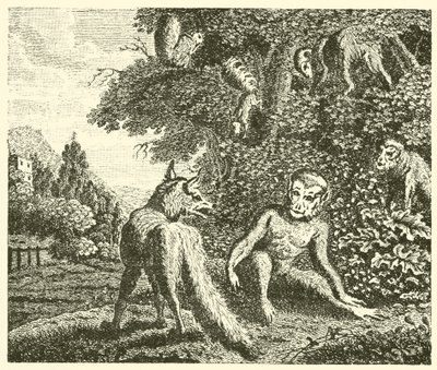 La scimmia e la volpe (incisione) da English School