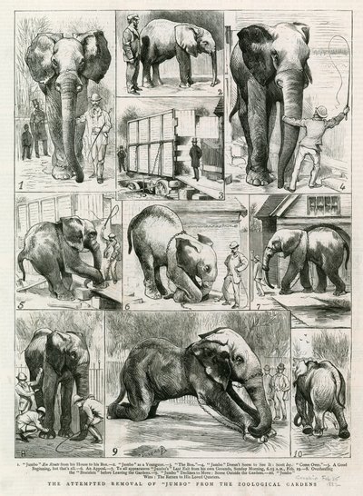 Il tentativo di rimozione di Jumbo dai Giardini Zoologici da English School