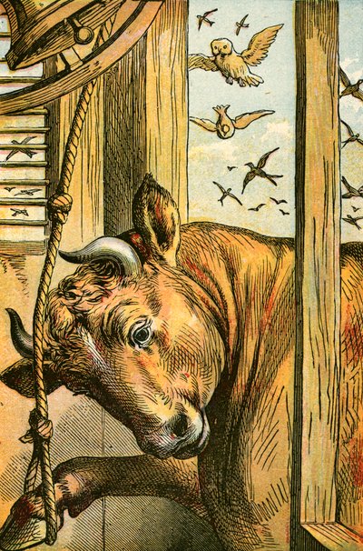 Il toro che suona la campana da English School