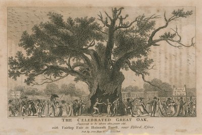 La celebre Grande Quercia, si suppone abbia più di 1800 anni da English School