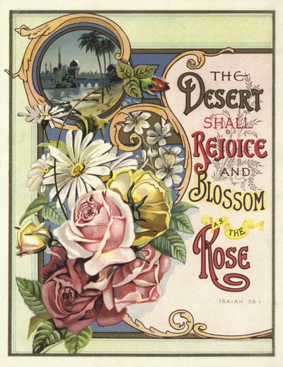 Il deserto gioirà e fiorirà come la rosa da English School