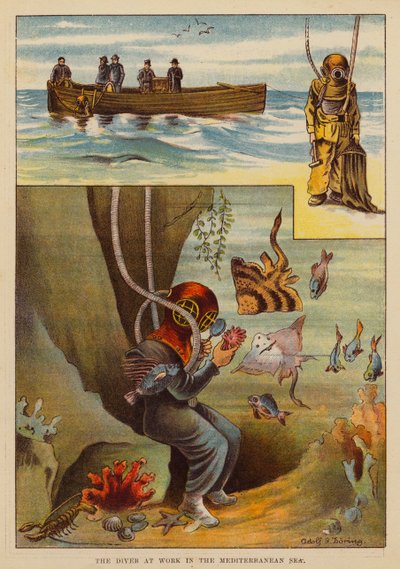 Il subacqueo al lavoro nel Mar Mediterraneo da English School