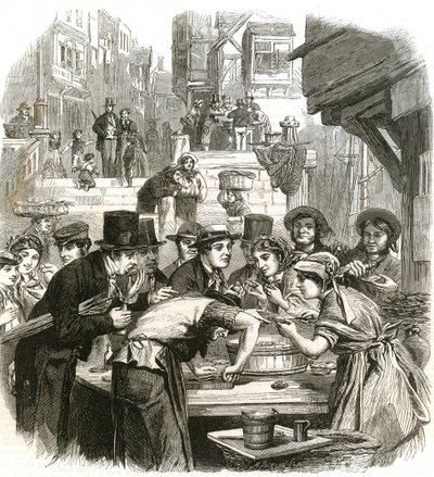 Il primo giorno delle ostriche da English School