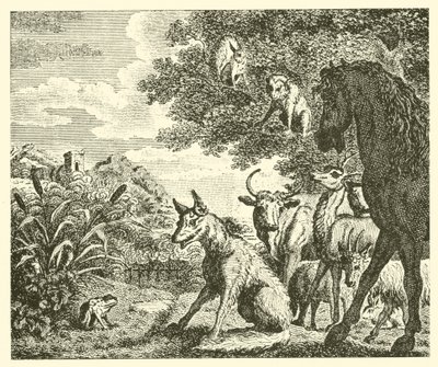 La rana e la volpe (incisione) da English School