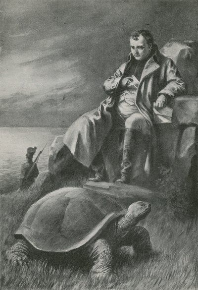 La tartaruga gigante che vide Napoleone da English School