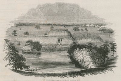 La grande Casa delle Palme nei Giardini Reali, Kew, Londra da English School