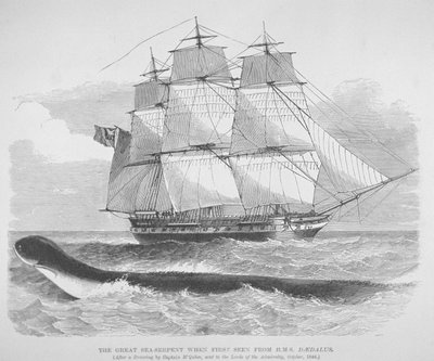 Il grande serpente marino visto per la prima volta dalla HMS Daedalus nel 1848, c.1848 (incisione) da English School