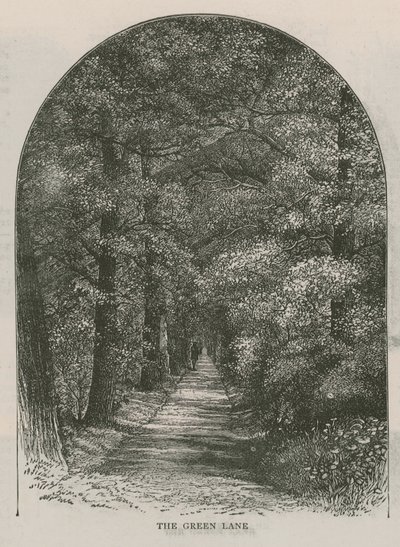 Il viale verde, Holland House da English School