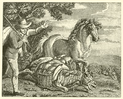 Il cavallo e l