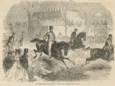 La mostra del cavallo a Islington da English School