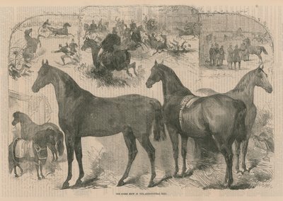 La mostra del cavallo nella Sala dell