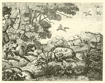 Il castoro cacciato (incisione) da English School