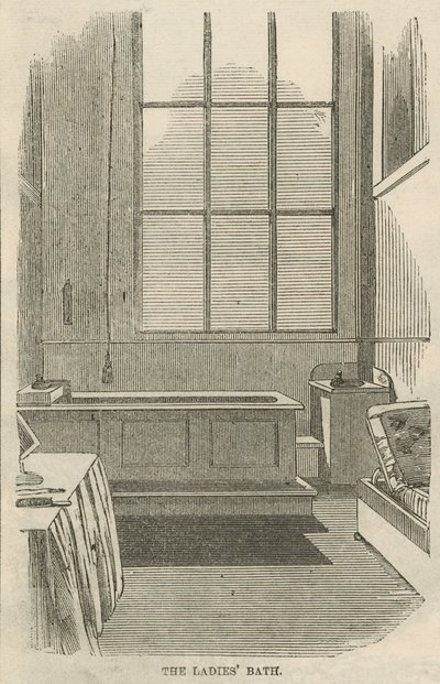 Il bagno delle signore da English School