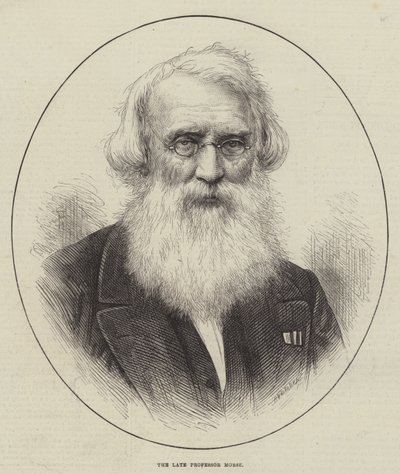 Il defunto Professor Morse (incisione) da English School