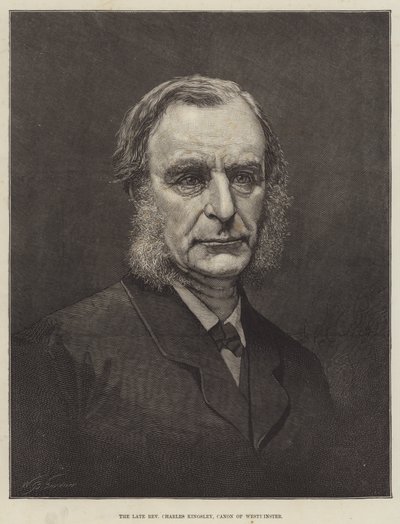 Il defunto reverendo Charles Kingsley, canonico di Westminster (incisione) da English School