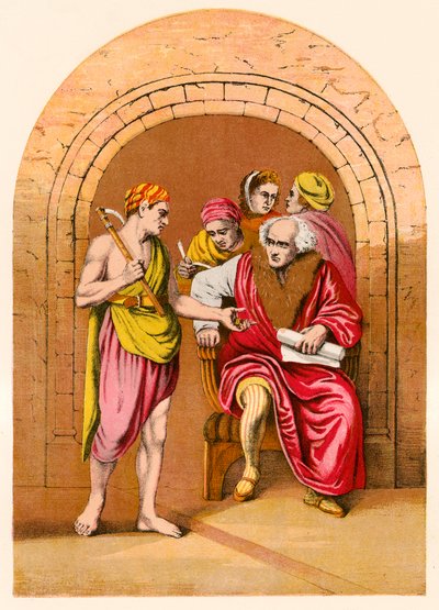 Il signore della vigna da English School
