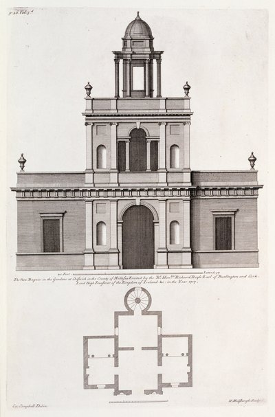 Il nuovo 