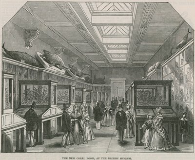 La nuova Sala dei Coralli al British Museum da English School